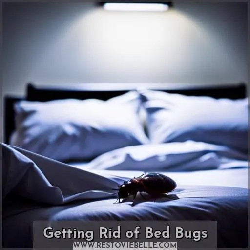 Getting Rid of Bed Bugs