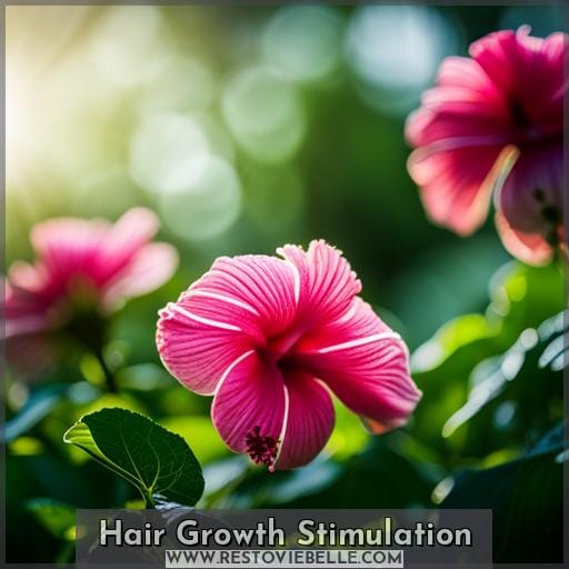 Hair Growth Stimulation Hair Growth Stimulation