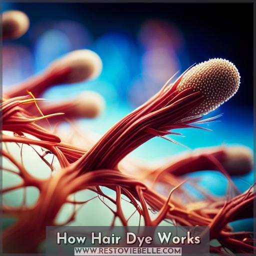 How Hair Dye Works