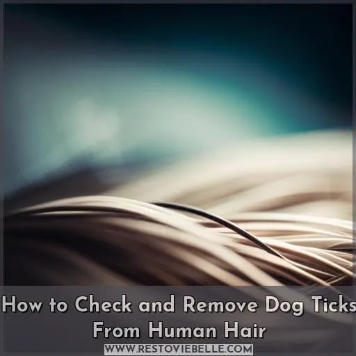 How to Check and Remove Dog Ticks From Human Hair