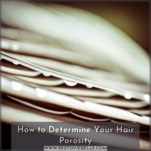 How to Determine Your Hair Porosity How to Determine Your Hair Porosity