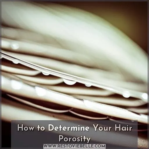 How to Determine Your Hair Porosity