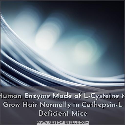 Human Enzyme Made of L-Cysteine to Grow Hair Normally in Cathepsin-L Deficient Mice Human Enzyme Made of L-Cysteine to Grow Hair Normally in Cathepsin-L Deficient Mice