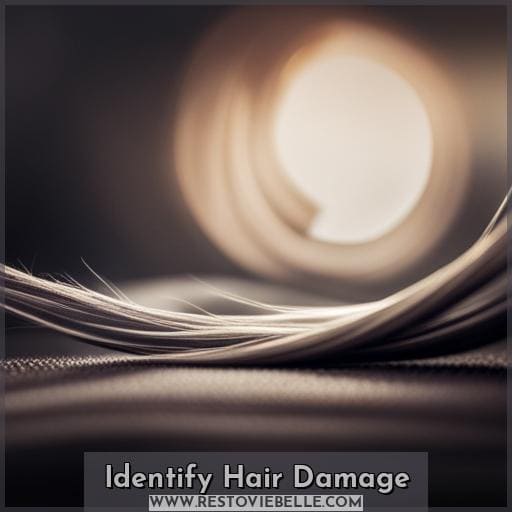 Identify Hair Damage Identify Hair Damage