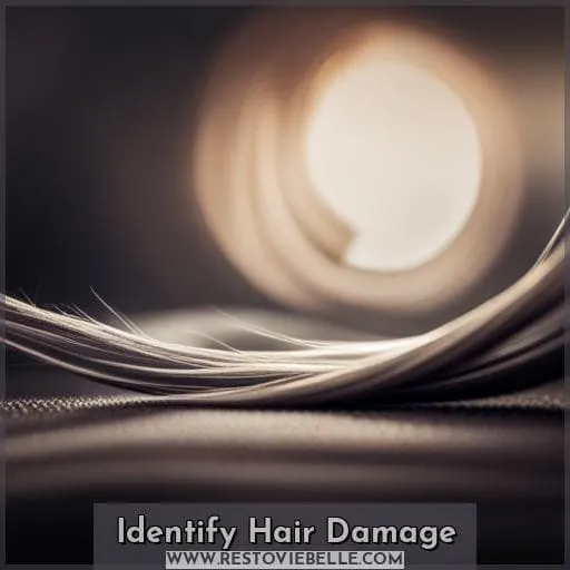 Identify Hair Damage