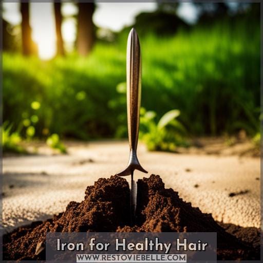 Iron for Healthy Hair Iron for Healthy Hair
