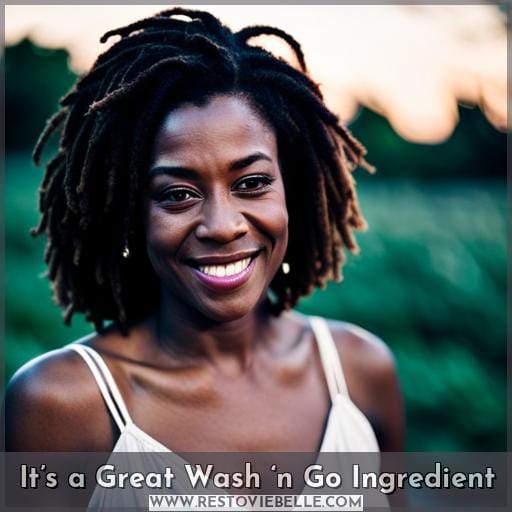 It’s a Great Wash ‘n Go Ingredient