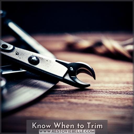 Know When to Trim Know When to Trim