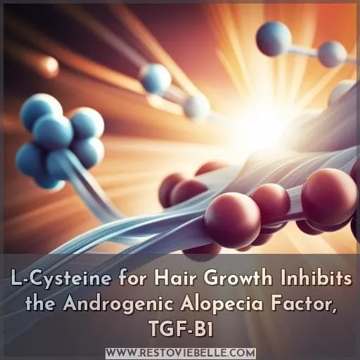 L-Cysteine for Hair Growth Inhibits the Androgenic Alopecia Factor, TGF-B1