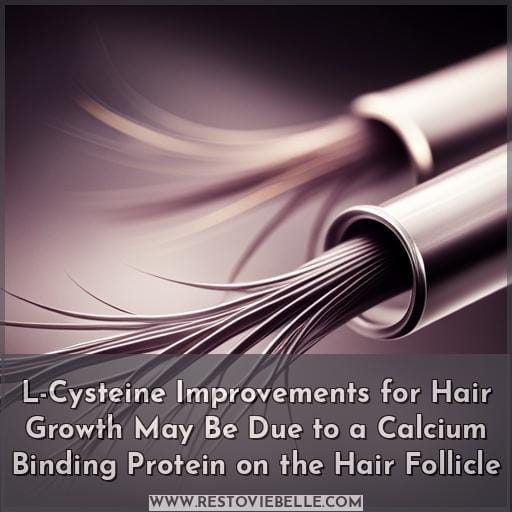 L-Cysteine Improvements for Hair Growth May Be Due to a Calcium Binding Protein on the Hair Follicle L-Cysteine Improvements for Hair Growth May Be Due to a Calcium Binding Protein on the Hair Follicle