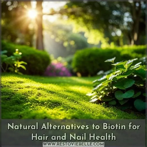 Natural Alternatives to Biotin for Hair and Nail Health