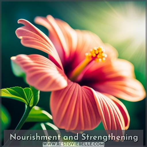 Nourishment and Strengthening Nourishment and Strengthening