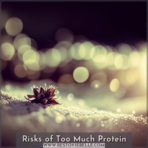 Risks of Too Much Protein Risks of Too Much Protein