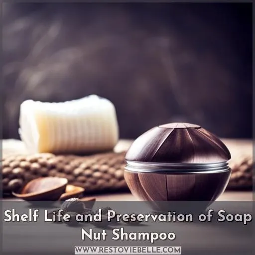 Shelf Life and Preservation of Soap Nut Shampoo