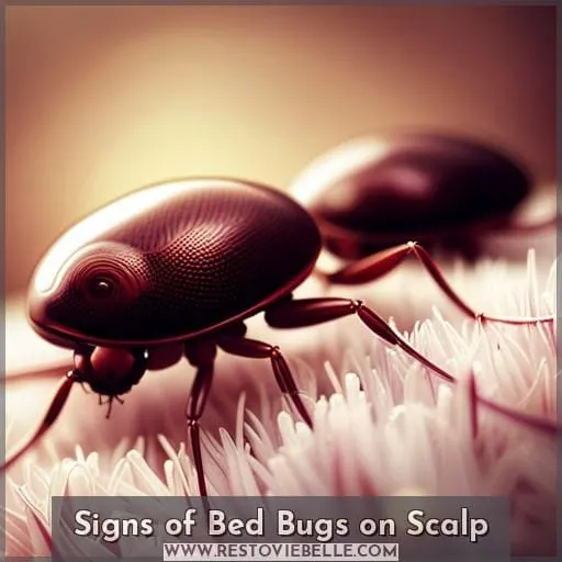 Signs of Bed Bugs on Scalp
