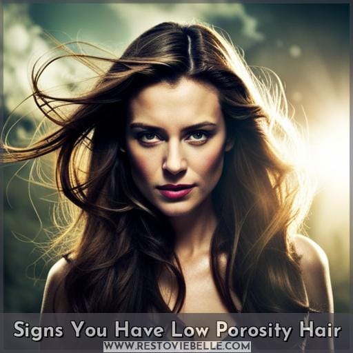 Signs You Have Low Porosity Hair Signs You Have Low Porosity Hair