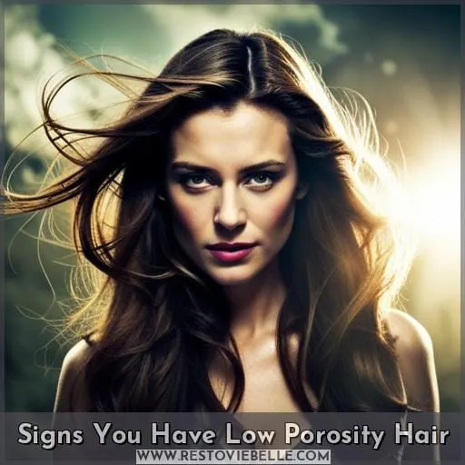 Signs You Have Low Porosity Hair