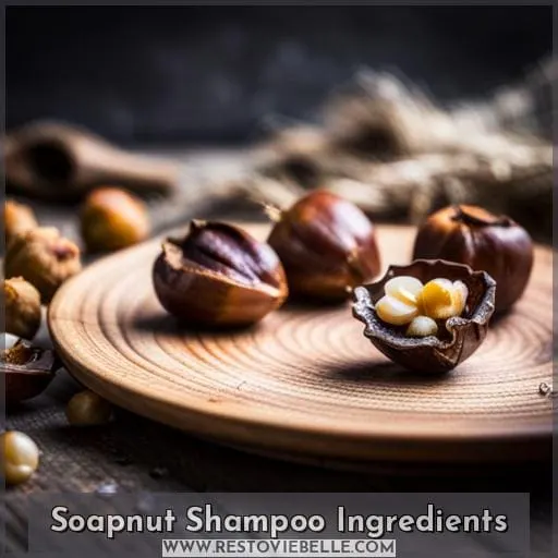 Soapnut Shampoo Ingredients