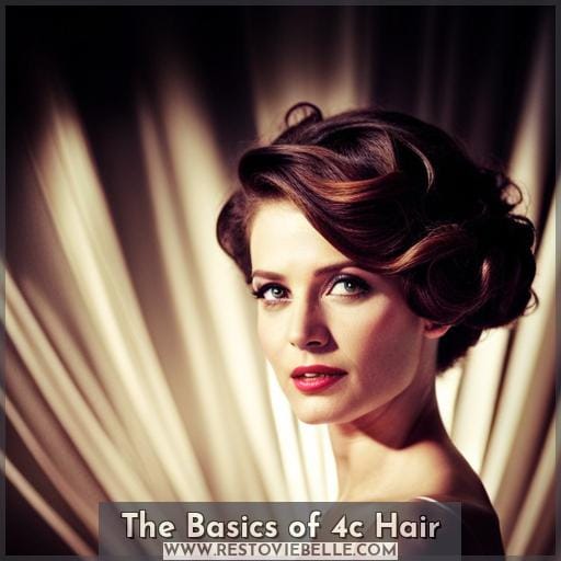 The Basics of 4c Hair The Basics of 4c Hair
