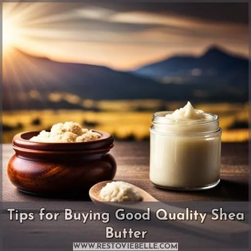 Tips for Buying Good Quality Shea Butter