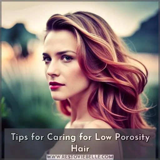 Tips for Caring for Low Porosity Hair