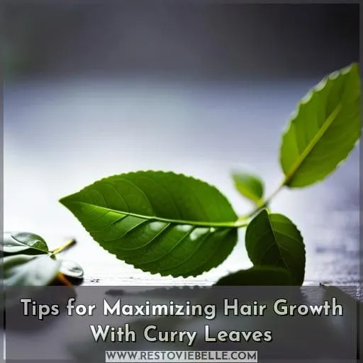 Tips for Maximizing Hair Growth With Curry Leaves