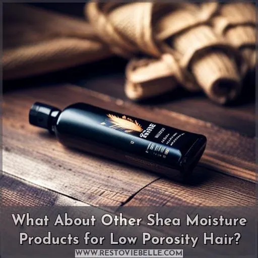 What About Other Shea Moisture Products for Low Porosity Hair