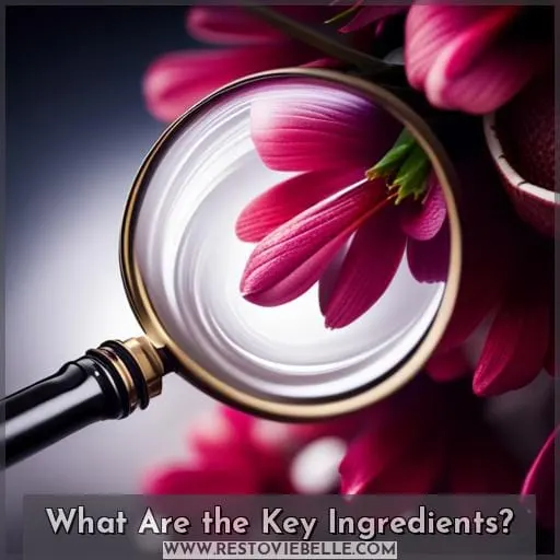 What Are the Key Ingredients
