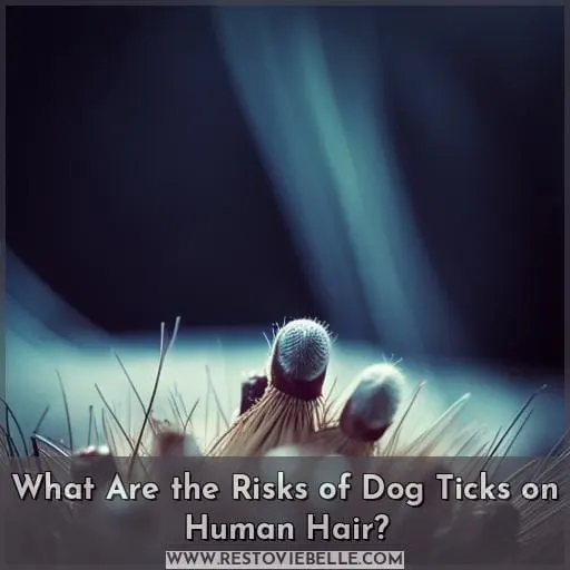 What Are the Risks of Dog Ticks on Human Hair