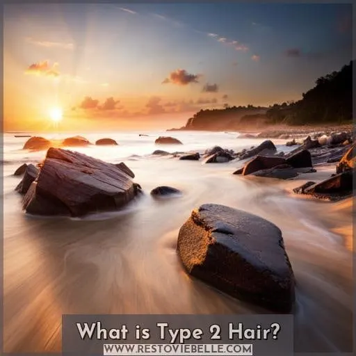 What is Type 2 Hair