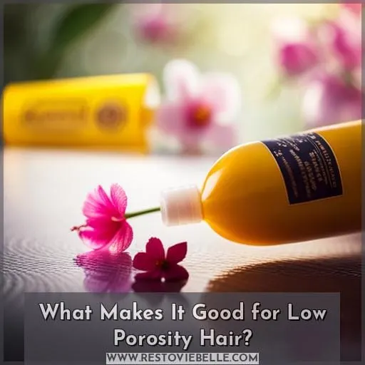 What Makes It Good for Low Porosity Hair