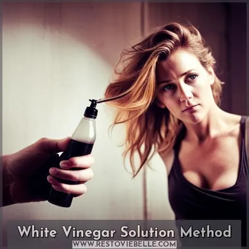 White Vinegar Solution Method