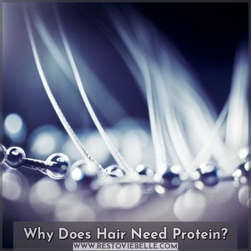 Why Does Hair Need Protein