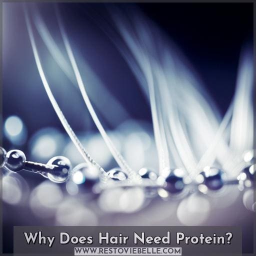 Why Does Hair Need Protein Why Does Hair Need Protein