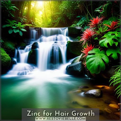 Zinc for Hair Growth Zinc for Hair Growth