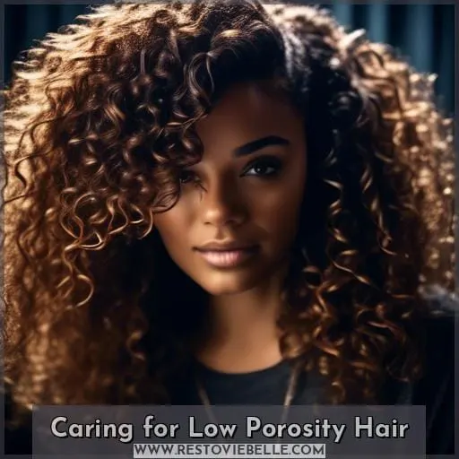 Caring for Low Porosity Hair