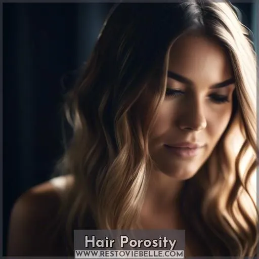 hair porosity