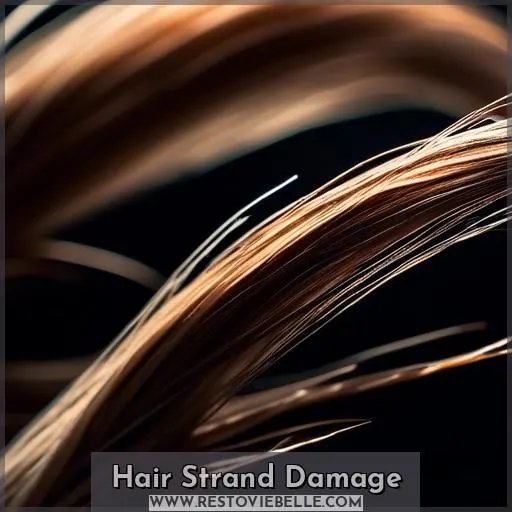 Hair Strand Damage