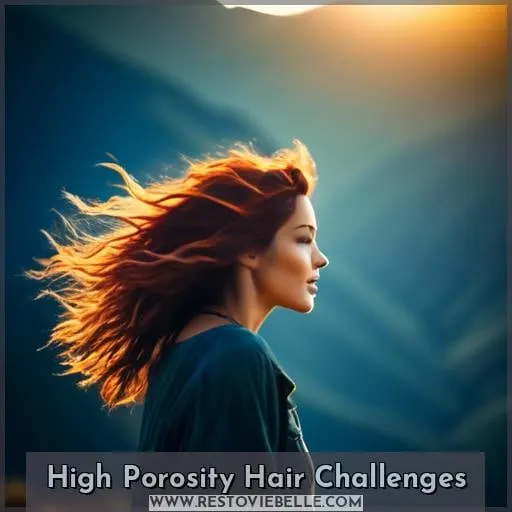 High Porosity Hair Challenges