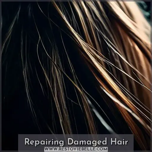 Repairing Damaged Hair