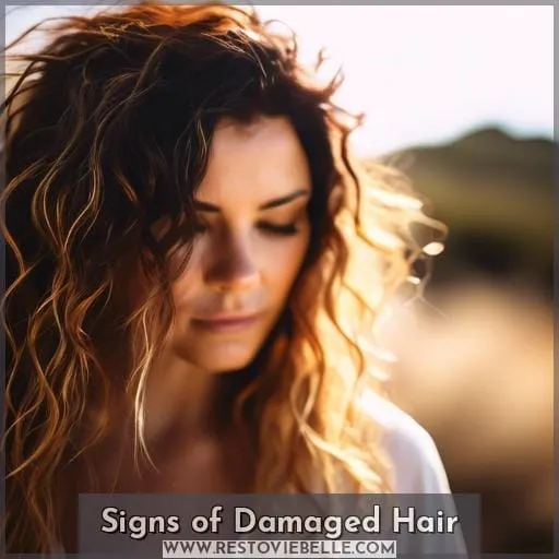 Signs of Damaged Hair