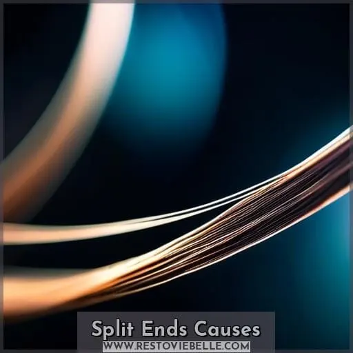 Split Ends Causes