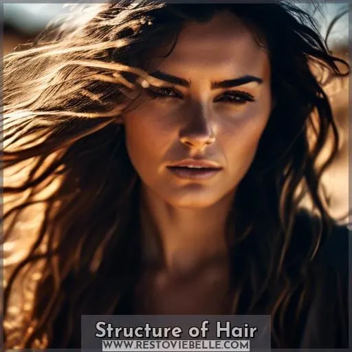 Structure of Hair