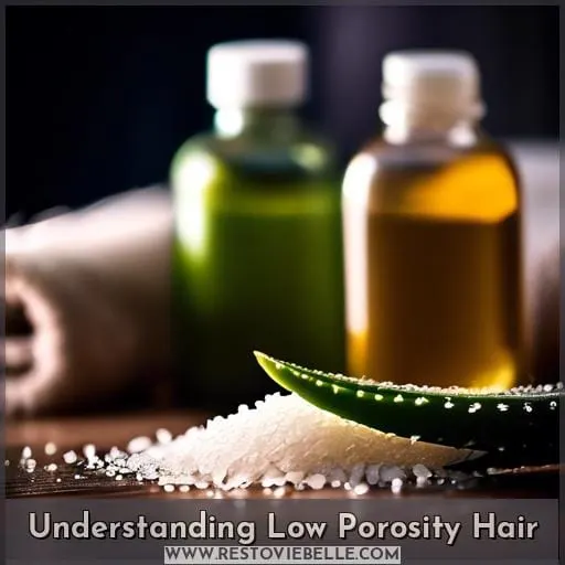 Understanding Low Porosity Hair