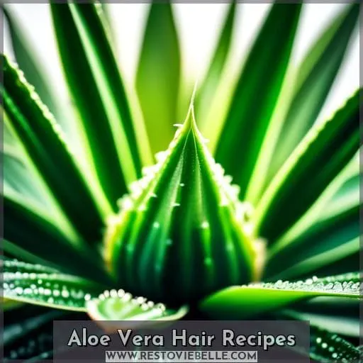 Aloe Vera Hair Recipes