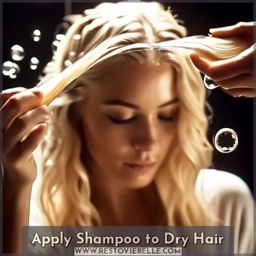 Apply Shampoo to Dry Hair