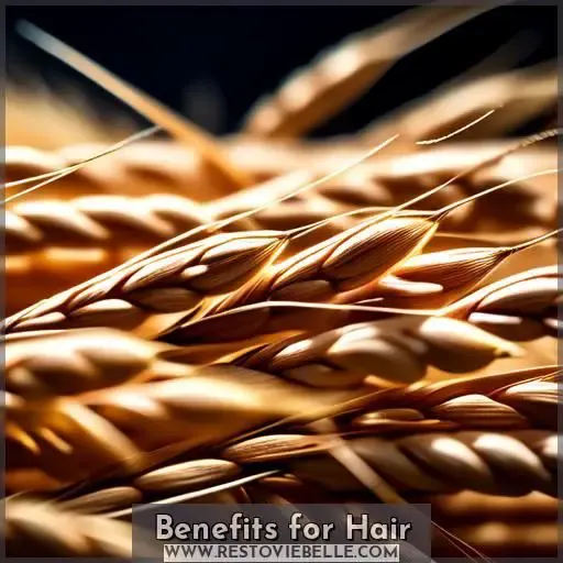 Benefits for Hair