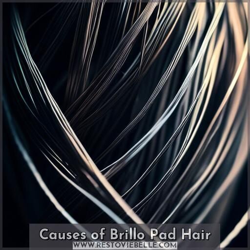 Causes of Brillo Pad Hair Causes of Brillo Pad Hair