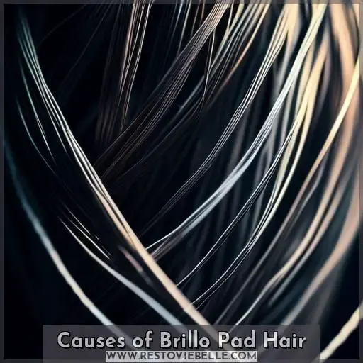 Causes of Brillo Pad Hair