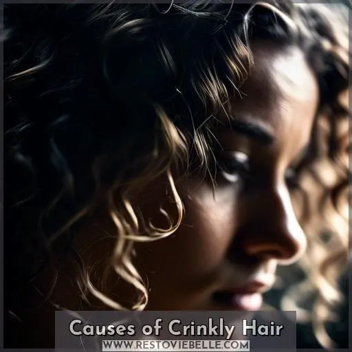 Causes of Crinkly Hair